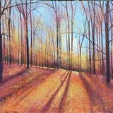 `Autumn Morning Sun SOLD